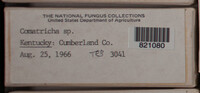 Image Associated With the Occurence